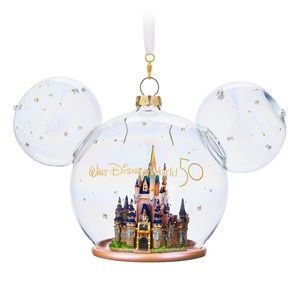 Brand new straight from magic kingdom